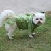 SPRING PARK Crocodile Shape Dog Halloween Costume Pet Hoodie for Small & Medium Dogs Green