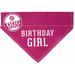 Pavilion Gift Company Pink Large Dog Slip-On Collar Canvas Bandana Birthday Girl 12x8 Inch