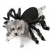 Anself Dogs Cats Spider Costume Pet Party Outfits for Small Dogs Cats