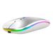 Portable Slim Silent Wireless Mouse RGB Rechargeable Mouse Wireless Computer Silent Mause Backlit Ergonomic Mouse