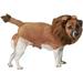 Zack & Zoey Fuzzy Lion Dog Costume - Halloween Costume - Medium Fits 16 in Length