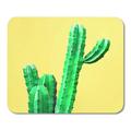 Blue Bright Green Cactus Gallery Design Minimal Summer Stillife Concept on Yellow Colorful Creative Mousepad Mouse Pad Mouse Mat 9x10 inch