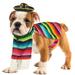 Skeleteen Mexican Serape Dog Costume - Cinco de Mayo Poncho and Sombrero Costumes for Pets (XL)