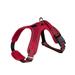Popvcly Dog Harness and Leash Set Dog Chest Strap Pet Vest Harness with Handle Adjustable Reflective Dog Harness for Small Dog Medium Dog Cat Red L