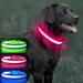 Walbest Light Up Dog Collars- USB Rechargeable Adjustable Puppy Collars for Dog Night Safety Mesh Nylon Dog Collar Lights for Night Time (Red M)