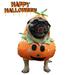 Halloween Dog Costumes Pumpkin Funny Pet Dog Cat Clothes - Carrying Pumpkin Costume Halloween Costumes Pets Clothing for Small Dogs and Cats