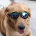 Foldable Pet Dog Sunglasses Medium Large Dog glasses Big Pet eyewear waterproof Dog Protection Goggles Sunglasses Gift