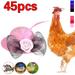 45 Pcs Chicken Helmet for Hens Mini Hat Chicken Accessories Funny Parrot Hats Small Pet Hats Small Pet Hat for Chicken Bird Duck Small Reptile Animal Costume