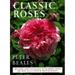 Classic Roses 9780805055849 Used / Pre-owned