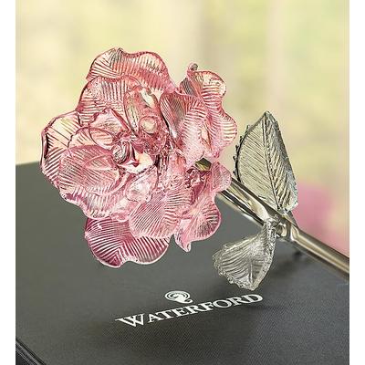 1-800-Flowers Flower Delivery Waterford Glass Rose Pink Glass Rose