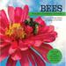 My Wonderful World: Bees: Honeybees Bumblebees and More! (Hardcover)