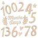 Frcolor Baby Milestone Wooden Birth Number Announcement Sign Cutouts Month Props Photo Newborn Monthly Numbers Blocks Marker