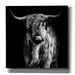 Epic Graffiti Hippy Highland Cow by Epic Portfolio Giclee Canvas Wall Art 37 x37