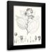 Vision Studio 17x24 Black Modern Framed Museum Art Print Titled - Illustrative Leaves III