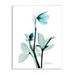 Stupell Industries Blue Wildflower Study Translucent Plant Photography 13 x 19 Design by Albert Koetsier