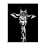 Stupell Industries Greyscale Zebra Stripes Detailed Photography Portrait 13 x 19 Design by Incado