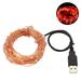 Yesbay 32ft 100 LED USB Copper Wire Fairy String Lights Garland Decoration Red