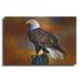 Luxe Metal Art The Eagle by Ata Alishahi Metal Wall Art 24 x16