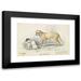 Charles Hamilton Smith 24x17 Black Modern Framed Museum Art Print Titled - The Alco; Young Carrier Dog of the Indians (1837)