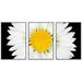 wall26 - 3 Piece Framed Canvas Wall Art - Daisy Flower Isolated on Black Background - White with Yellow Center - Modern Home Art Stretched and Framed Ready to Hang - 16 x24 x3 White