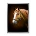 Designart Brown Horse With White Nose Portrait Farmhouse Framed Art Print