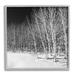 Stupell Industries Mysterious Snowy Forest Looming Nighttime Birch Trees Photograph Gray Framed Art Print Wall Art Design by Steve Smith