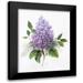 Nan 15x18 Black Modern Framed Museum Art Print Titled - Lilac Romance I