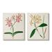 Stupell Industries Vintage Orchid Illustration Pink Yellow Florals Design by Unknown Artist 2 Piece 24 x 30