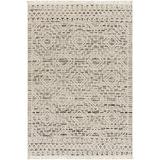 Surya Global Berlin 7 10 x 10 Area Rugs With Light Grey Finish BLR2300-71010