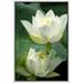 wall26 Framed Canvas Prints Wall Art - White Lotus Flower and Green Lotus Leaf | Modern Wall Decor/Home Art Stretched Gallery Wraps Giclee Print & Wood Framed. Ready to Hang - 16x24 White