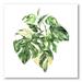 Designart Tropical Green Leaves On White In Summer Times I Tropical Canvas Wall Art Print