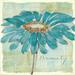 Winston Porter Spa Daisies I by Chris Paschke - Wrapped Canvas Print Canvas | 12 H x 12 W x 1.25 D in | Wayfair 6619142B04A04675AAC50D80B9DA3064