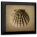 Heather Jacks 20x20 Black Modern Framed Museum Art Print Titled - Seashell Study I