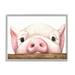 Stupell Industries Sweet Pink Pig Resting Snout Farm Animal Illustration Painting Gray Framed Art Print Wall Art Design by George Dyachenko