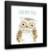 Robinson Carol 12x14 Black Modern Framed Museum Art Print Titled - Dream Big Owl