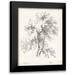 Unknown 12x14 Black Modern Framed Museum Art Print Titled - Birch Tree Study