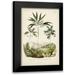 DOrbigny M. Charles 11x14 Black Modern Framed Museum Art Print Titled - Antique Palm Collection III