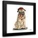 Bannarot 12x12 Black Modern Framed Museum Art Print Titled - Pugs in hats I