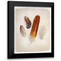 Van Swearingen Debra 15x18 Black Modern Framed Museum Art Print Titled - Feather Group I