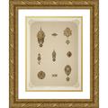 Martin Gerlach 19x24 Gold Ornate Framed and Double Matted Museum Art Print Titled - Nine Designs for Jewelry Including Gold Brooch with Green Stones and Word Hope. (1872 - 1873)