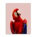 HomeRoots 30 in. Vibrant & Vivid Bird Canvas Wall Art Red