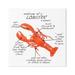 Stupell Industries Lobster Anatomy Nautical Sea Life Learning Chart Graphic Art Gallery Wrapped Canvas Print Wall Art Design by Dishique