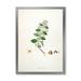 Designart Ancient Botanicals I Farmhouse Framed Art Print