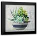 Purinton Julia 20x20 Black Modern Framed Museum Art Print Titled - Succulent Still Life II Navy