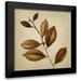 Loreth Lanie 12x12 Black Modern Framed Museum Art Print Titled - Antiqued Leaves II