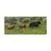 Trademark Fine Art Sow And Cubs Walking Canvas Art by Galloimages Online