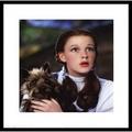 Wizard of Oz - Dorothy and Toto Laminated & Framed Poster (16 x 16)
