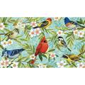 Toland Home Garden Bird Collage Bird Spring Door Mat 18x30 Inch Doormat