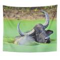 REFRED Green Refreshment Water Buffalo Male Bathing Wall Art Hanging Tapestry Home Decor for Living Room Bedroom Dorm 51x60 inch