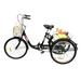 PEXMOR Adult Trike 7 Speed 24/26 Inch Tricycle for Adult Three-Wheeled Cruiser Bike w/ Folding Front & Rear Basket Adjustable Height Seat for Recreation Shopping Men s Women s Bike